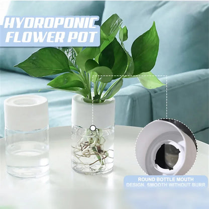 Mini Hydroponic Flower Pot Home Vase Decor